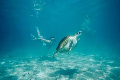 /clients/Irie-Tours/all-west-beach-irie-tours-11.jpg